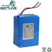 Lithium Batteries for Boneville AGV