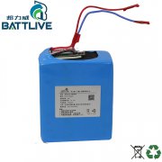 Lithium Battery 24V18AH for AGV
