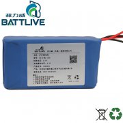Lithium batteries for portable devices